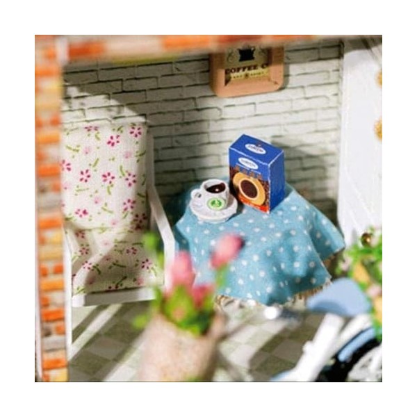 LEONYS Modèle de Jouet-Kit de Maison de poupée Miniature, Maison de Jardin avec Ensembles de Meubles, Meilleurs Cadeaux dann