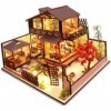 LEONYS Ensemble de mini maison en bois bricolage, kit de maison de poupée miniature 3D avec meubles, meilleur cadeau for adul