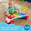 Fisher-Price FP INFANT-HGM29 Fisher-Price Giant Light-Up Xylophone, HGM29