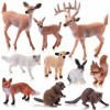 Chalyna 10 Pièces Figurines danimaux de Forêt Figurine danimal des Bois Miniature Jouet Ensemble de Jeu Éducatif Familial d