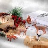 Chalyna 10 Pièces Figurines danimaux de Forêt Figurine danimal des Bois Miniature Jouet Ensemble de Jeu Éducatif Familial d