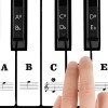 HONGECB Autocollant De Piano Pour 37/49/54/61/88 Touches Blanches Et Noires, Transparent Et Fin Avec Des Lettres Plus Grandes