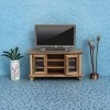 Greensen Accessoires de Maison de Poupée 1:12, TV Miniature avec Télécommande, Accessoires de Salon, Mini Meubles pour Maison