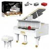 SDXFUWA Piano Ensemble de Construction, Ensemble de Jouets télécommandés, Cadeau STEM créatif avec lumières rotatives Lumineu