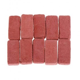 yunyu Meubles de Maison de poupées, 10 pièces Briques Rouges Miniatures pour Micro Paysage décor Artisanat Kits Accessoires d