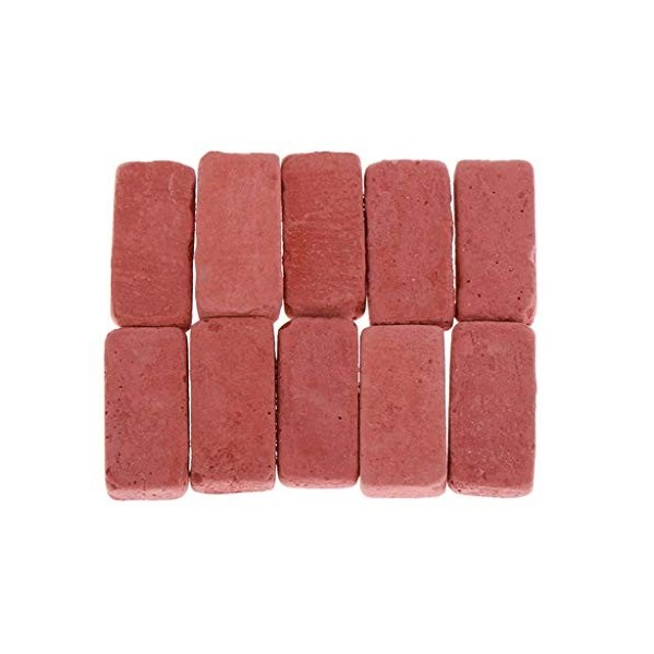 yunyu Meubles de Maison de poupées, 10 pièces Briques Rouges Miniatures pour Micro Paysage décor Artisanat Kits Accessoires d