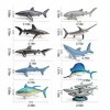 Vcedas Figurine de vie marine 10 pièces modèle animal jouet ensemble océan animaux figurines miniatures Jouets artificiels ap