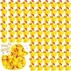 Lot de 250 mini canards de Noël miniatures en résine pour décoration de jardin, aquarium, maison de poupée, perles pour acces