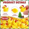 Lot de 250 mini canards de Noël miniatures en résine pour décoration de jardin, aquarium, maison de poupée, perles pour acces