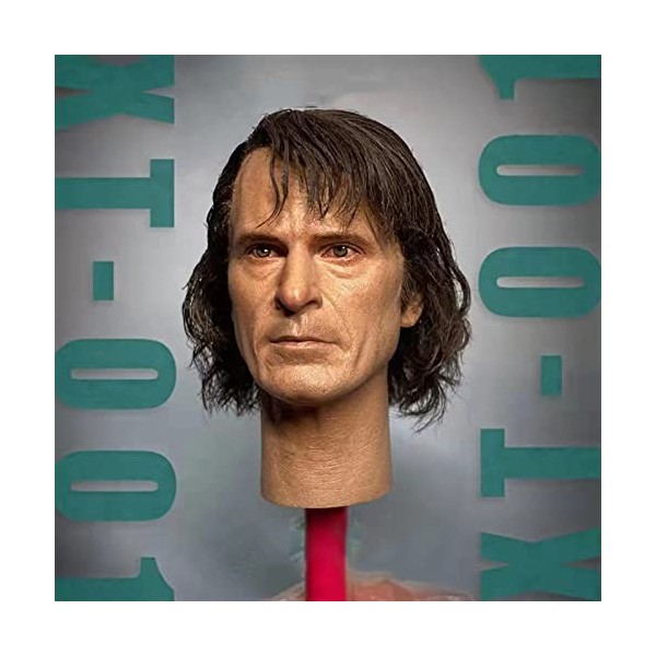 CNSMCWG Sculpture De Tête De Figurine Masculin À Léchelle 1/6, Sculpture Tête De Clown Joaquin Phoenix, Tête De Poupée pour 