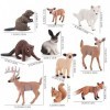 LUFEIS Figurine Animaux, 10 Pcs Mini Animaux Forêt Ensemble, Figurines danimaux Jouet Plastique réalistes, Animaux Jouet For