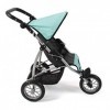 Bayer Chic 2000-Jogging Buggy Leon Poussette pour poupée, 613 42, Melange Anthrazit-Mint, 75 x 40 x 73.5 cm