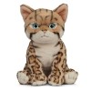 Living Nature Chaton Bengal, Chat en Peluche Doux et Réaliste, 16.5cm