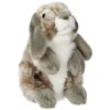 Gipsy- Lapin bélier, 070359, Gris