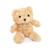 Histoire dOurs - Peluche Ours Câlin - Miel - 21 Cm - Corps Souple - Douce et Mignonne - Idée Cadeau de Naissance et Annivers