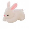 Hxiaen Bunny Toys Peluche éducative interactive lapin en peluche de Pâques blanc, taille unique 