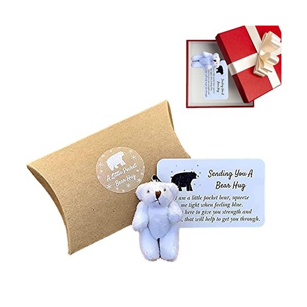 ZONEWD Petits Poche | Mini Ours en Peluche en Peluche Animaux Poupée Tiny Bears Pocket Hug Token - Cadeau sympathie Mini Ours