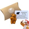 ZONEWD Petits Poche | Mini Ours en Peluche en Peluche Animaux Poupée Tiny Bears Pocket Hug Token - Cadeau sympathie Mini Ours