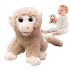 Rosixehird Singe en Peluche en Peluche - Oreiller de Couchage en Peluche Plushie - Oreiller de Couchage et décorations pour l