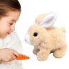 Rianpesn Lapin en Peluche Mignon Pâques en Peluche Jouet, Doux Lapin en Peluche Lapin en Peluche poupée Jouet Cadeaux Pâques 