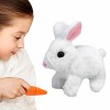 Rianpesn Lapin en Peluche Mignon Pâques en Peluche Jouet, Doux Lapin en Peluche Lapin en Peluche poupée Jouet Cadeaux Pâques 