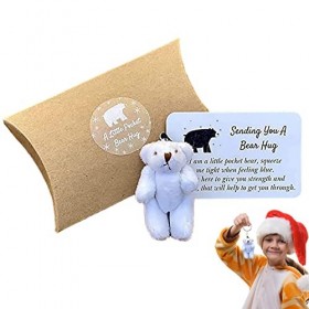 Tytlyworth Un Petit câlin dPoche - Mini Ours en Peluche en Peluche Animaux Poupée Tiny Bears Pocket Hug Token | Cadeau sympa