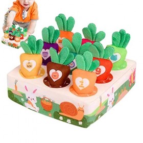 PW TOOLS récolte Carottes - récolte Carottes en Peluche,Sensory Box Montessori Trier et Compter Le Puzzle pour Les Cadeaux ré