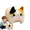 Rosixehird Peluche Chat en Peluche,Oreiller pour Forme carrée - Chat Mignon Animaux en Peluche Chat Peluche, Jouets en Peluch