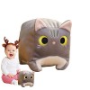 Rosixehird Peluche Chat en Peluche,Oreiller pour Forme carrée - Chat Mignon Animaux en Peluche Chat Peluche, Jouets en Peluch