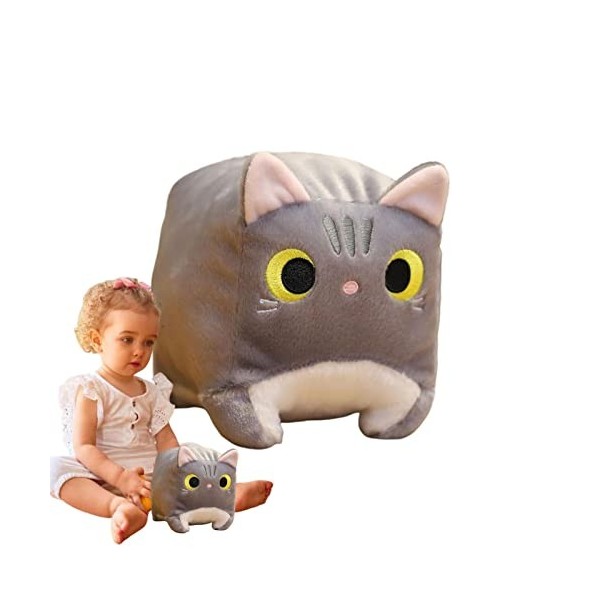 MISOYER Chat en Peluche,Jouet en Peluche pour Forme carrée | Oreiller Chat en Peluche poupée en Peluche Douce, Oreiller en Pe