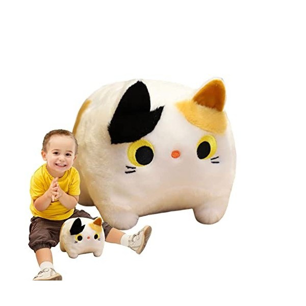 LOBOY Chat en Peluche Moelleux,Oreiller pour Forme carrée | Oreiller Chat en Peluche poupée en Peluche Douce, Oreiller en Pel