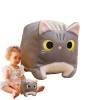 LOBOY Chat en Peluche Moelleux,Oreiller pour Forme carrée | Oreiller Chat en Peluche poupée en Peluche Douce, Oreiller en Pel