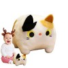 Kasmole Chat en Peluche,Jouet en Peluche Chat 3D | Oreiller en Peluche Doux Lavable Mignon, Jouet en Peluche Chat, Cadeaux po