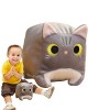 Kasmole Chat en Peluche,Jouet en Peluche Chat 3D | Oreiller en Peluche Doux Lavable Mignon, Jouet en Peluche Chat, Cadeaux po