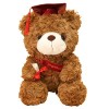 Ours en Peluche - Graduation 2023 pour Elle, 28cm Ours en Peluche en Peluche avec Chapeau, Cadeau Fin Détudes, Félicitations