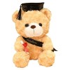 Ours en Peluche - Graduation 2023 pour Elle, 28cm Ours en Peluche en Peluche avec Chapeau, Cadeau Fin Détudes, Félicitations