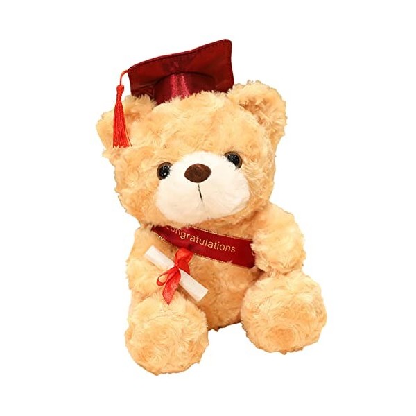 Ours en Peluche - Graduation 2023 pour Elle, 28cm Ours en Peluche en Peluche avec Chapeau, Cadeau Fin Détudes, Félicitations