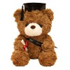 Ours en Peluche - Graduation 2023 pour Elle, 28cm Ours en Peluche en Peluche avec Chapeau, Cadeau Fin Détudes, Félicitations