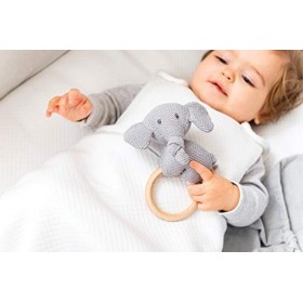 Nattou Anneau de Dentition en Bois, Avec Peluche, Tembo, 17 x 15 cm, Gris/Bois