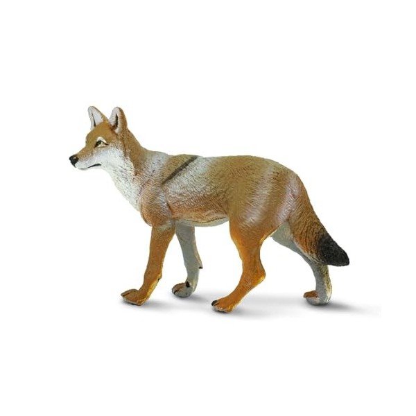 Safari Ltd Coyote