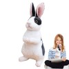 MISOYER Lapin en Peluche | Petit Lapin en Peluche Assis et Debout - Jouets en Peluche à Longues Lapin en Peluche Lapin Pâques