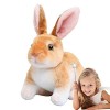 Peluche Lapin Mignon, Petit Lapin en Peluche Assis et Debout, Jouets en Peluche à Longues Lapin en Peluche Lapin Pâques pour 