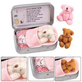 GIMOCOOL Mini Ours en Peluche, Mini Ours en Peluche, Mignon Petit Ours en Peluche avec boîte, Ours poupée pour Bricolage Port