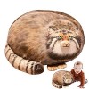 Xiaoxin Steppe Chat en Peluche Jouet en Peluche Dessin Animé Animal Chat Coussin Décor À La Maison, Animaux en Peluche Doux e