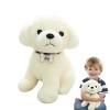 Odavom Jouet en Peluche pour Chien - Jouet pour Enfant Animal Super Dessin animé Mignon - Décoration Confortable en Peluche p