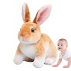 TLM Toys Lapin en Peluche | Marionnette Lapin Assis et Debout | Jouets en Peluche à Longues Lapin en Peluche Lapin Pâques pou