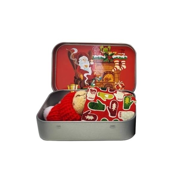EWFAS Ours de Noël de Poche dans Une boîte | Peluche Ours de Poche en Peluche | Poupées Ours Mignonnes et Douces, Jouet Ours 