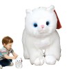 Rianpesn Chat en Peluche - Jouet câlin pour Chaton Doux et Portable - Granpoupée en Peluche Courte multifonctionnelle, poupée