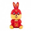 Katutude Lapin en Peluche Geant, Mascotte Lapin 2023 Peluche Lapin en Peluche Oreiller en Peluche de Lapin Animaux en Peluche