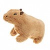 Ravcerol Jouet en Peluche Capybara,Jouets en Peluche pour Animaux | poupée en Peluche Dessin animé, Animaux Capybara Dessin a